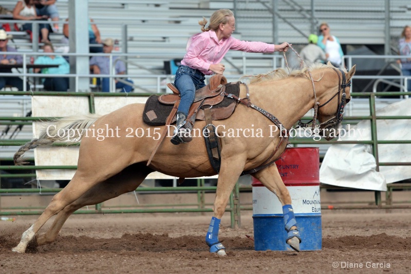 birklee jones jr high rodeo nephi 2015 12 - ID: 14993561 © Diane Garcia