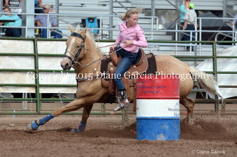 birklee jones jr high rodeo nephi 2015 10 - ID: 14993563 © Diane Garcia