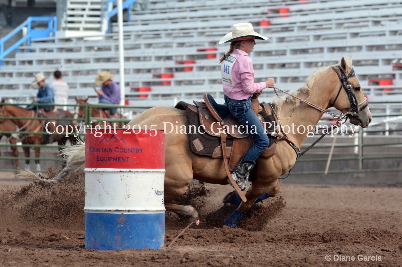 birklee jones jr high rodeo nephi 2015 9 - ID: 14993564 © Diane Garcia