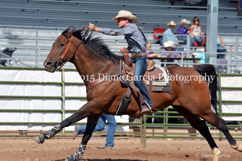 aubrey gourdin jr high rodeo nephi 2015 12 - ID: 14993565 © Diane Garcia