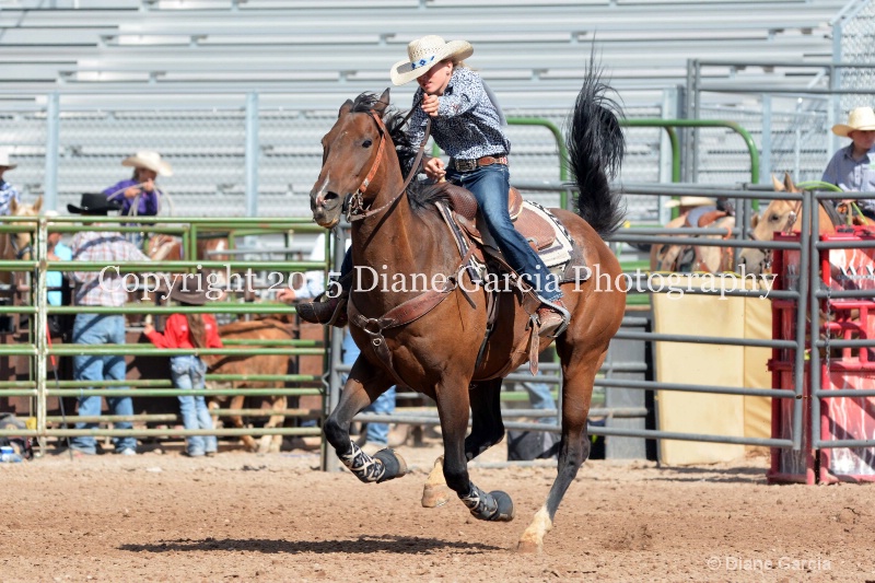 aubrey gourdin jr high rodeo nephi 2015 11 - ID: 14993566 © Diane Garcia