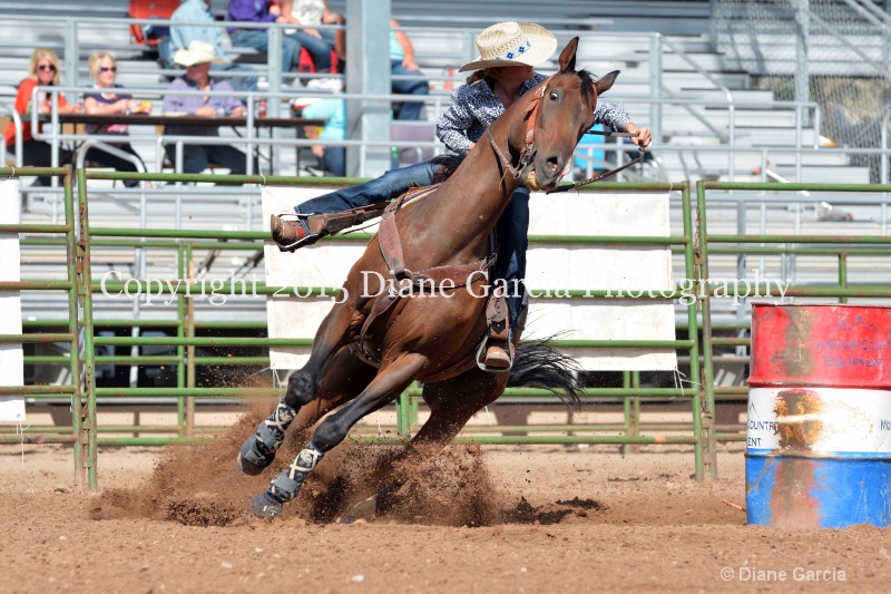 aubrey gourdin jr high rodeo nephi 2015 10 - ID: 14993567 © Diane Garcia