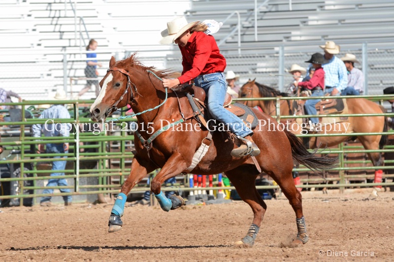 annie okleberry jr high rodeo nephi 2015 8 - ID: 14993570 © Diane Garcia