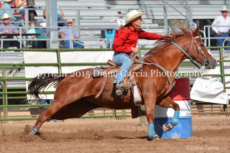 annie okleberry jr high rodeo nephi 2015 7 - ID: 14993571 © Diane Garcia