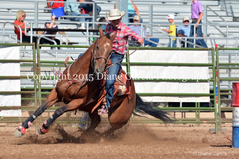 abbi bowthorpe jr high rodeo nephi 2015 10 - ID: 14993583 © Diane Garcia