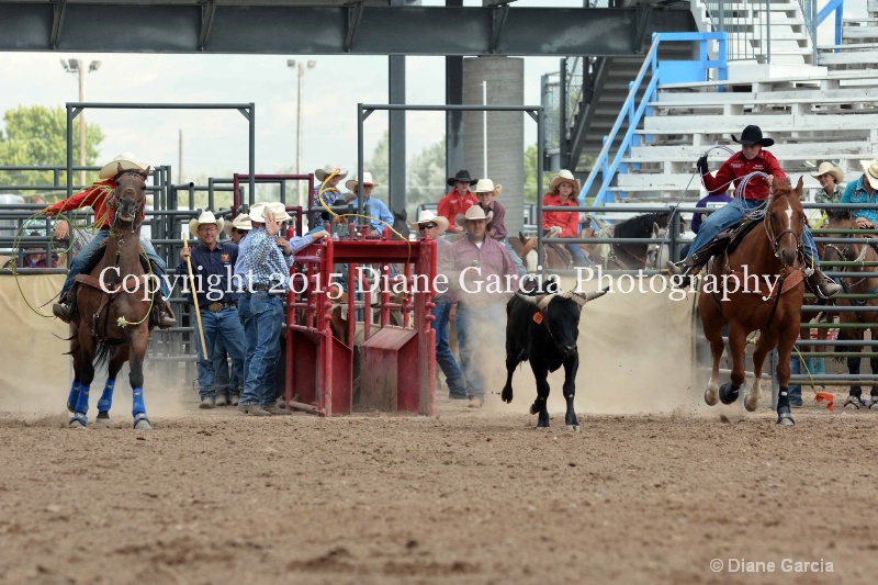 duke   sweat jr high rodeo nephi 2015 1 - ID: 14993645 © Diane Garcia