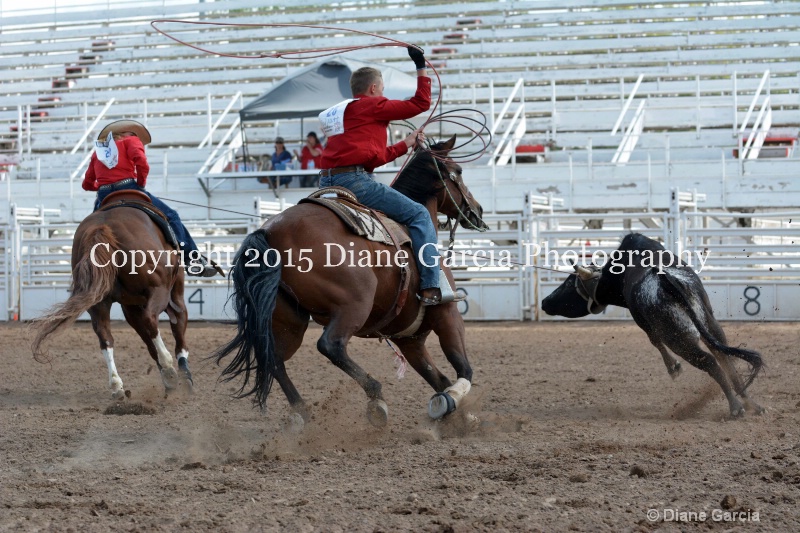 draper   davis jr high rodeo nephi 2015 3 - ID: 14993646 © Diane Garcia
