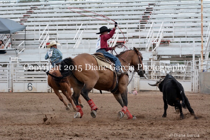 dansie   rindlisbacher jr high rodeo nephi 2015 2 - ID: 14993650 © Diane Garcia