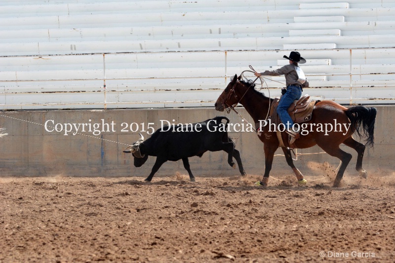 crandall   webster jr high rodeo nephi 2015 4 - ID: 14993652 © Diane Garcia
