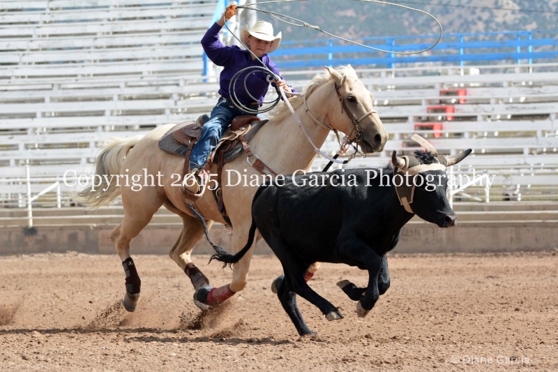 crandall   webster jr high rodeo nephi 2015 3 - ID: 14993653 © Diane Garcia