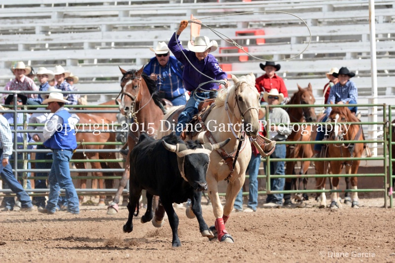 crandall   webster jr high rodeo nephi 2015 2 - ID: 14993654 © Diane Garcia