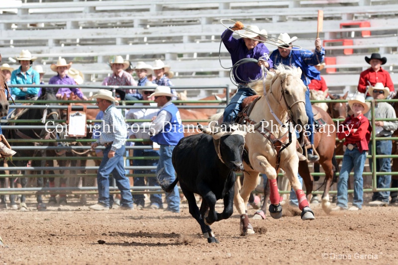 crandall   webster jr high rodeo nephi 2015 1 - ID: 14993655 © Diane Garcia