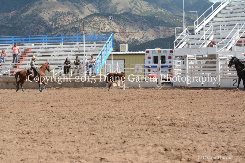 carlsen   mcallister jr high rodeo nephi 2015 5 - ID: 14993656 © Diane Garcia