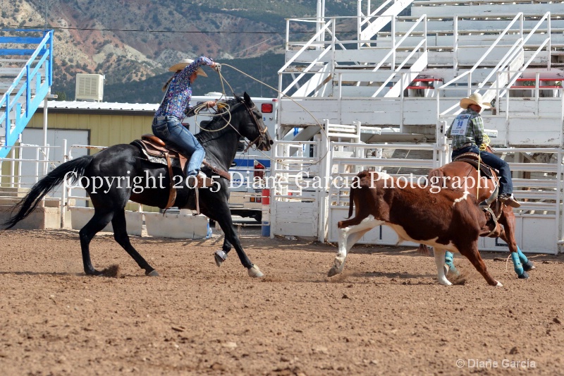 carlsen   mcallister jr high rodeo nephi 2015 4 - ID: 14993657 © Diane Garcia