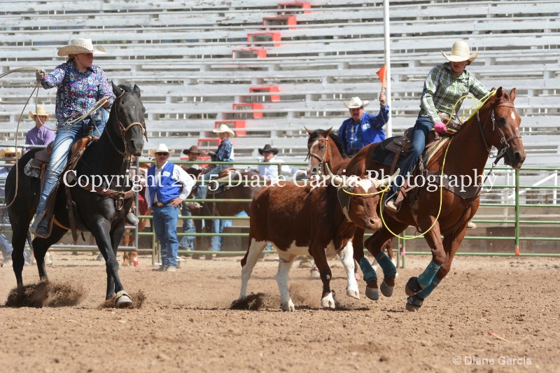 carlsen   mcallister jr high rodeo nephi 2015 2 - ID: 14993659 © Diane Garcia