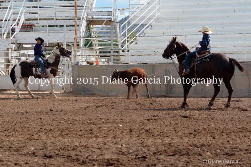 burnside   baxter jr high rodeo nephi 2015 8 - ID: 14993661 © Diane Garcia
