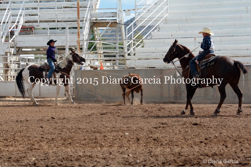 burnside   baxter jr high rodeo nephi 2015 7 - ID: 14993662 © Diane Garcia