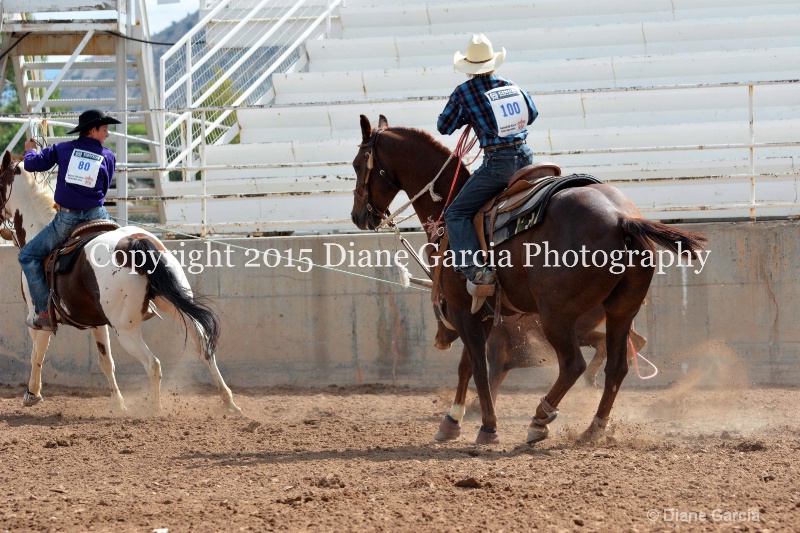 burnside   baxter jr high rodeo nephi 2015 6 - ID: 14993663 © Diane Garcia