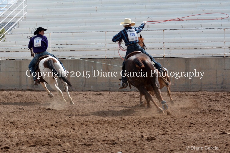 burnside   baxter jr high rodeo nephi 2015 5 - ID: 14993664 © Diane Garcia