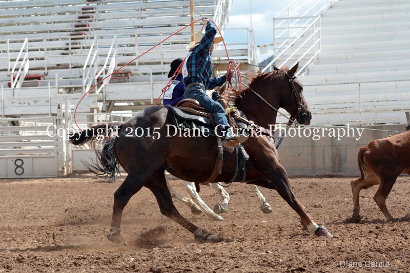 burnside   baxter jr high rodeo nephi 2015 4 - ID: 14993665 © Diane Garcia
