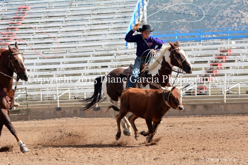 burnside   baxter jr high rodeo nephi 2015 3 - ID: 14993666 © Diane Garcia
