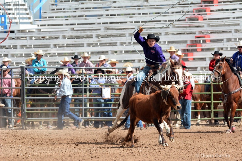 burnside   baxter jr high rodeo nephi 2015 2 - ID: 14993667 © Diane Garcia