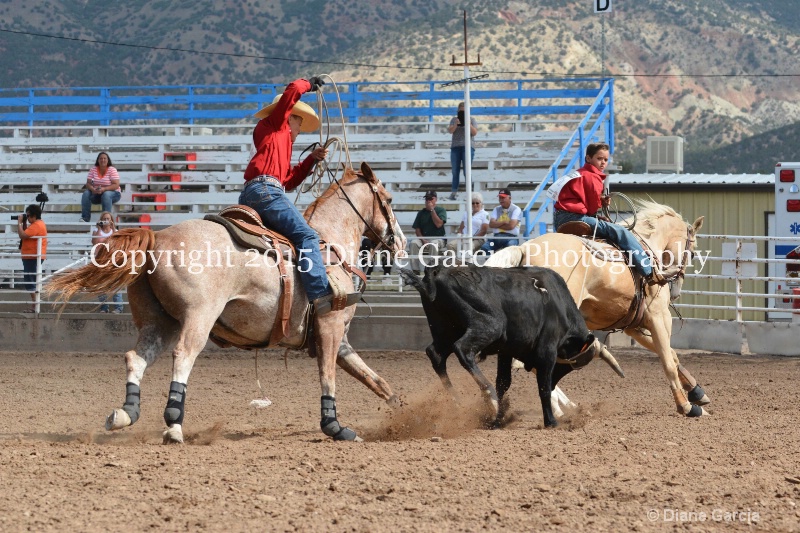 bradford   kagianes jr high rodeo nephi 2015 5 - ID: 14993669 © Diane Garcia