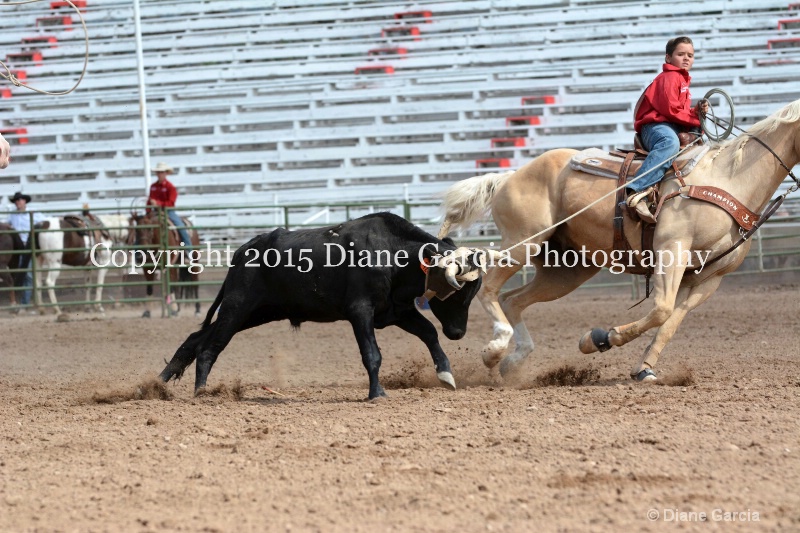 bradford   kagianes jr high rodeo nephi 2015 4 - ID: 14993670 © Diane Garcia