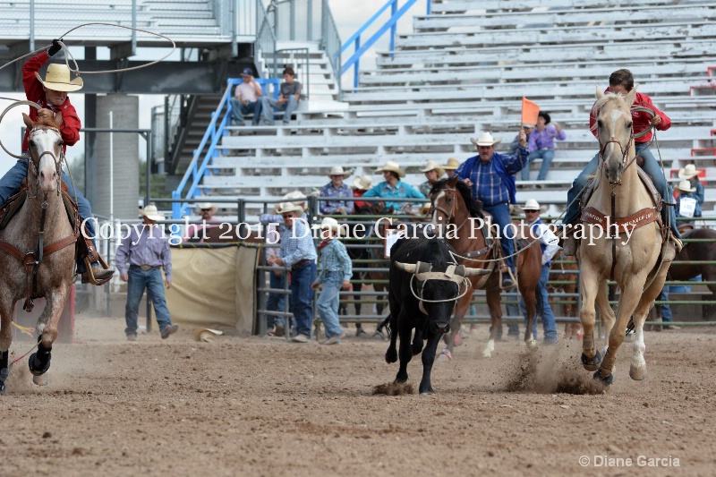 bradford   kagianes jr high rodeo nephi 2015 3 - ID: 14993671 © Diane Garcia