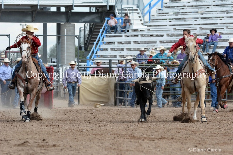 bradford   kagianes jr high rodeo nephi 2015 2 - ID: 14993672 © Diane Garcia