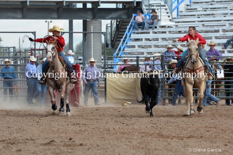 bradford   kagianes jr high rodeo nephi 2015 1 - ID: 14993673 © Diane Garcia