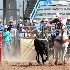 © Diane Garcia PhotoID# 14993675: bowler   bowler jr high rodeo nephi 2015 1