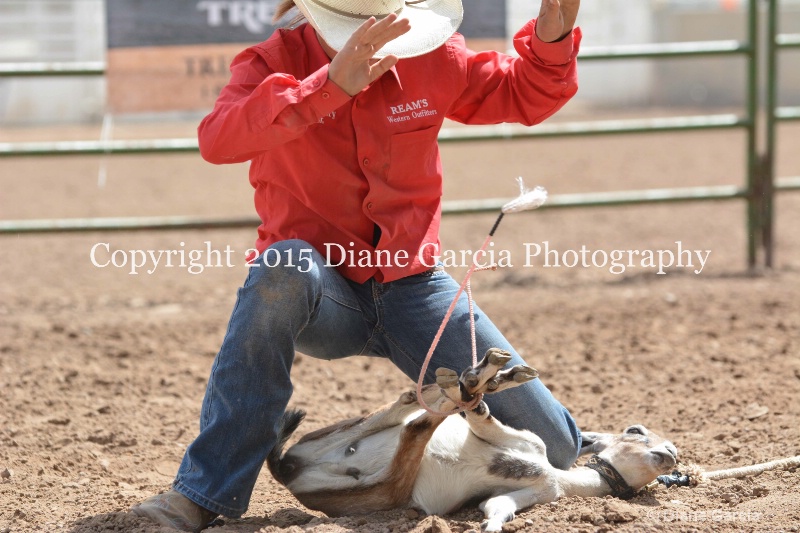 brylee allan jr high rodeo nephi 2015 14 - ID: 14993859 © Diane Garcia