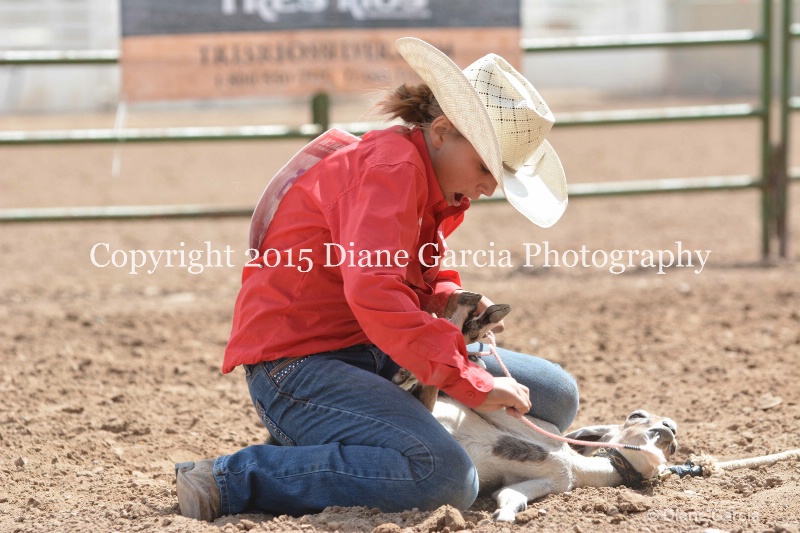 brylee allan jr high rodeo nephi 2015 13 - ID: 14993860 © Diane Garcia