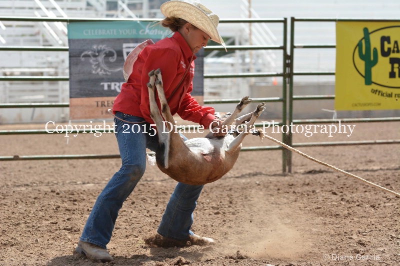 brylee allan jr high rodeo nephi 2015 12 - ID: 14993861 © Diane Garcia