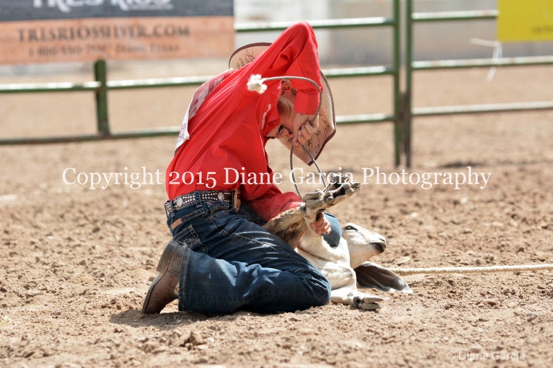 braylee shepherd jr high rodeo nephi 2015 18 - ID: 14993865 © Diane Garcia