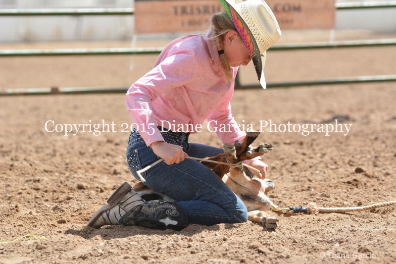 birklee jones jr high rodeo nephi 2015 18 - ID: 14993868 © Diane Garcia
