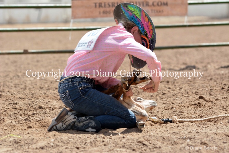 birklee jones jr high rodeo nephi 2015 17 - ID: 14993869 © Diane Garcia