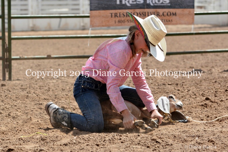 birklee jones jr high rodeo nephi 2015 16 - ID: 14993870 © Diane Garcia