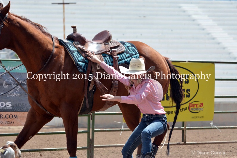birklee jones jr high rodeo nephi 2015 15 - ID: 14993871 © Diane Garcia