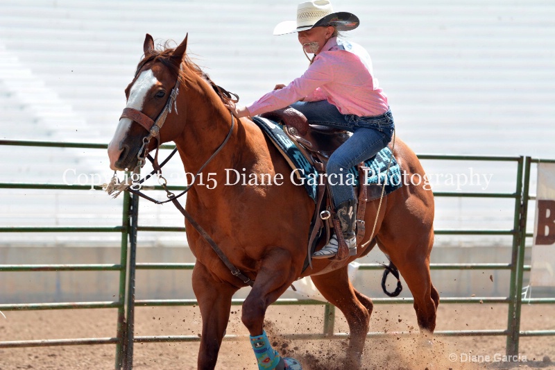 birklee jones jr high rodeo nephi 2015 14 - ID: 14993872 © Diane Garcia