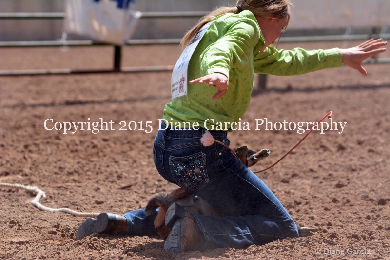 amy mason jr high rodeo nephi 2015 17 - ID: 14993885 © Diane Garcia