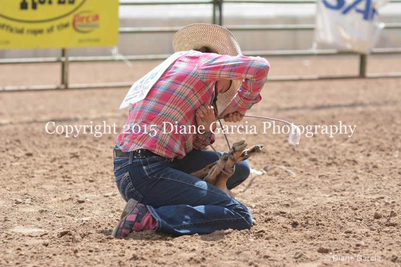 abbi bowthorpe jr high rodeo nephi 2015 16 - ID: 14993894 © Diane Garcia