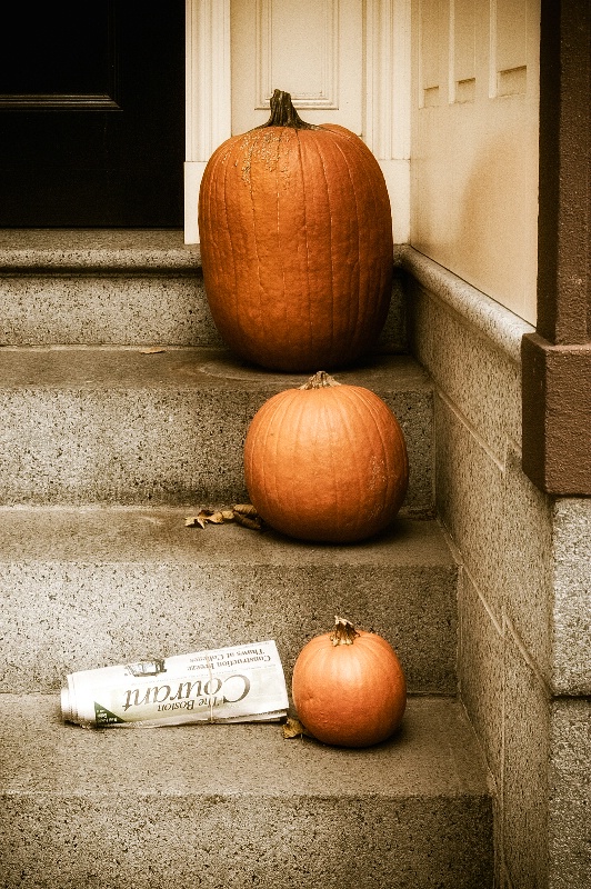 Three Pumpkins and the Paper
