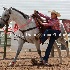 © Diane Garcia PhotoID# 14993900: abbi bowthorpe jr high rodeo nephi 2015 11