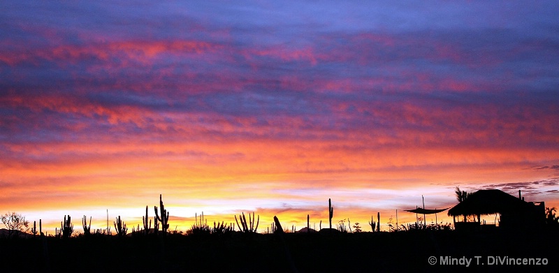 Sunrise Over Jason's Palapa