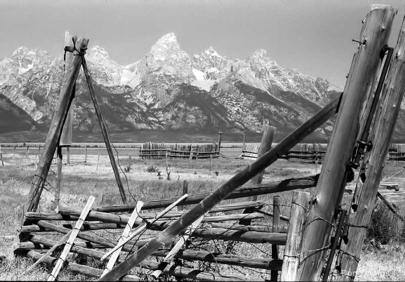 Teton Corral