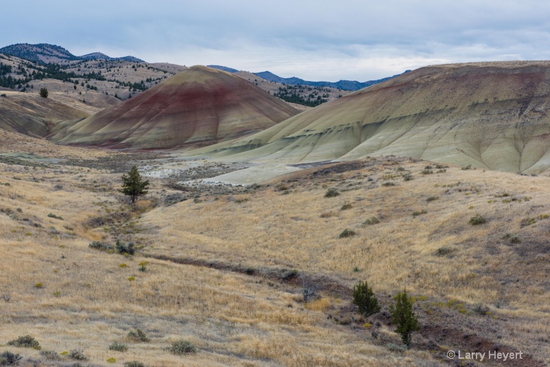 The Painted Hills of Oregon - ID: 14994512 © Larry Heyert