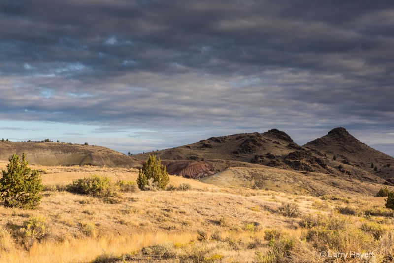 The Painted Hills of Oregon - ID: 14994525 © Larry Heyert