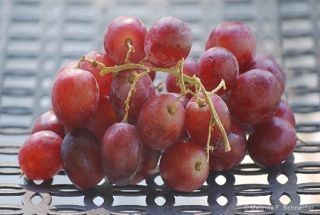 Red Grapes